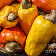 Cashews Art Print