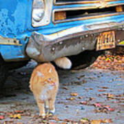 Cat And 1967 Chevy Art Print