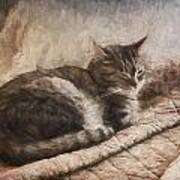 Cat On The Bed Painterly Art Print
