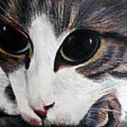 Cat's Eyes Art Print
