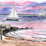 Cedar Beach Pinks Art Print