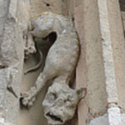 Chartres Cathedral Dog Gargoyle Art Print