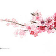 Cherry blossom art print watercolor painting Art Print