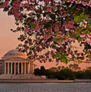 Cherry Blossoms Framing The Jefferson Memorial At Sunset Art Print