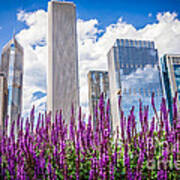 Chicago Downtown Buildings And Spring Flowers Art Print