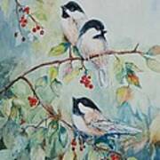 Chickadees Three Art Print