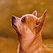 Chihuahua Portrait Art Print