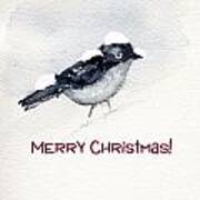 Christmas Birds 02 Art Print