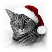 Christmas Cat 1 Art Print