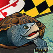 Citizen Terrapin Maryland's Turtle Art Print