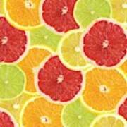 Citrus Fruit Slices Art Print