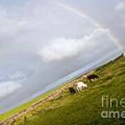 Cliffs Of Moher Guardians Art Print