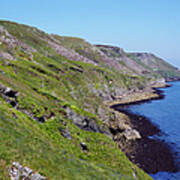 Cliffs Of The East Coast Of Lundy Art Print