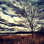 #clouds #sky #tree Art Print