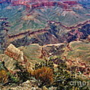 Colorado River Grand Canyon Art Print