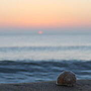 Conch Shell Sunrise Art Print