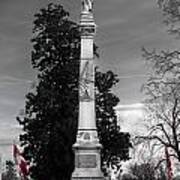 Confederate Monument Art Print