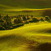 Contours Of The Palouse Art Print