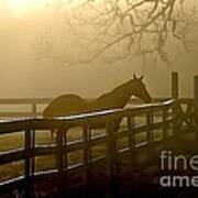 Coosaw Early Morning Mist Art Print