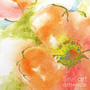 Coral Poppy I Art Print