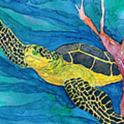 Coral Sea Turtle Art Print