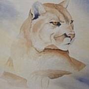 Cougar On Watch Art Print
