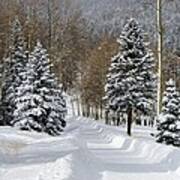 Country Lane In Snow Art Print