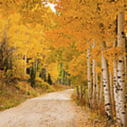 Country Road In Fall Season Art Print