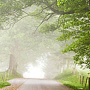 Country Road In The Fog Art Print