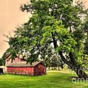 Country Scene Art Print