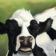 Cow Closeup Art Print