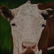 Cow Lick Art Print