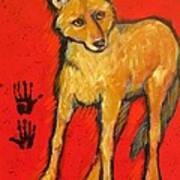 Coyote And Hand Prints Art Print