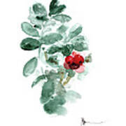 Cranberry Art Print Watercolor Painting Art Print