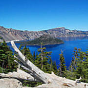 Crater Lake And Fallen Tree Art Print