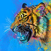 Crazy Tiger Art Print