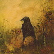 Crow 7 Art Print