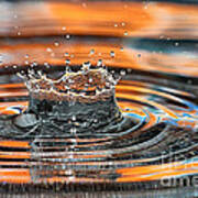 Crown Shaped Water Drop Macro Art Print