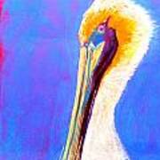 Cute Pelican Art Print