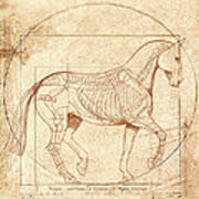 Da Vinci Horse In Piaffe Art Print