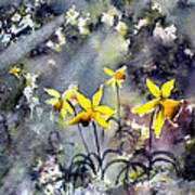 Daffodils Of Hope Art Print