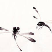 Dance Of The Dragonflies Art Print