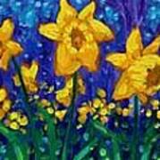 Dancing Daffodils Art Print