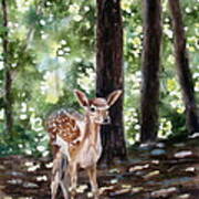 Dappled Innocence Art Print