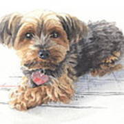 Desktop Calendar Yorky Dog Watercolor Portrait Art Print