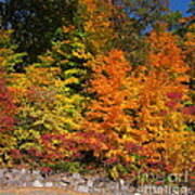 Devil's Lake State Park Art Print