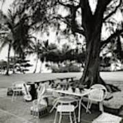 Dining Area On Patio Art Print