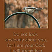 Do Not Look Anxiously About You Art Print