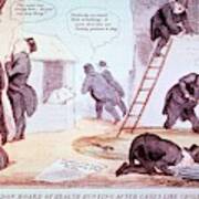 Doctors Investigating Cholera Art Print