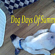 Dog Days Of Summer Art Print